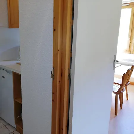 Lumineux A 80m Des Remontees Mecaniques, Balcon Sud, Animaux Acceptes - Fr-1-356-350 *